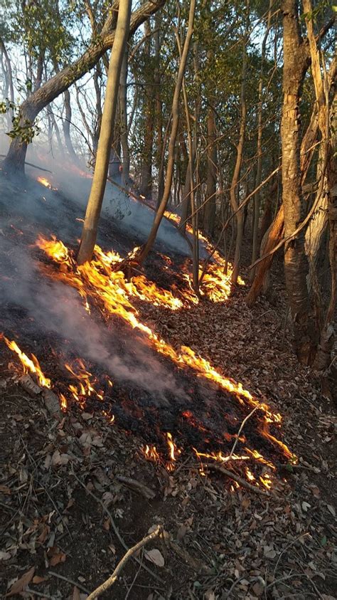 蛇山火事|令和3年足利市山林火災